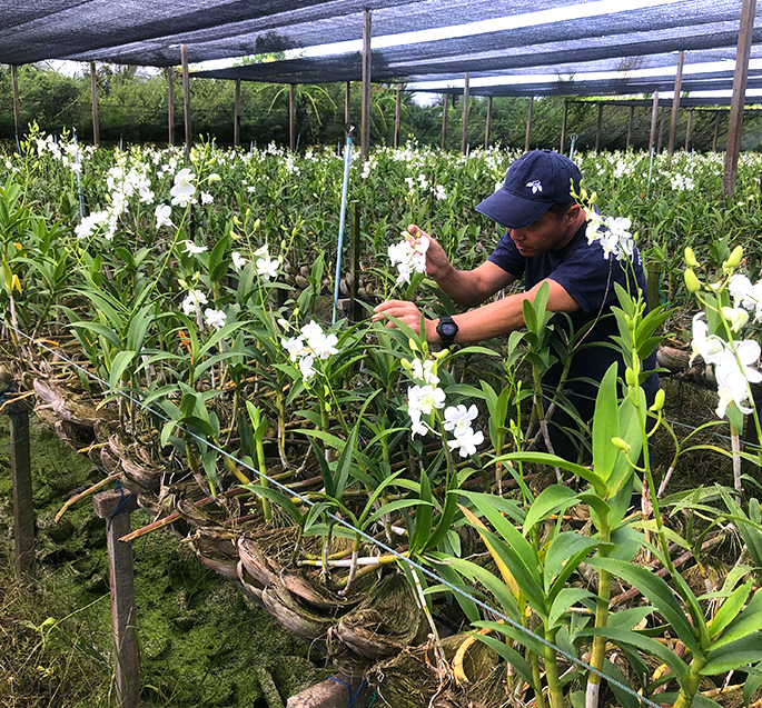 アッキーズジャパンについて