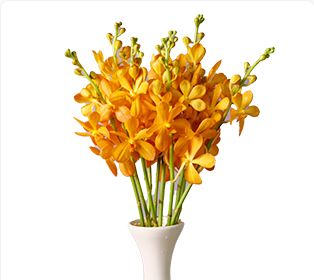 バンクンティエン