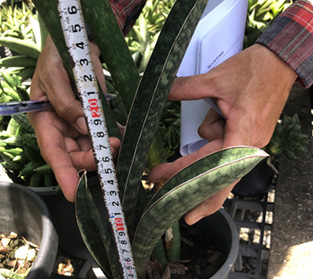 ベースボールバット