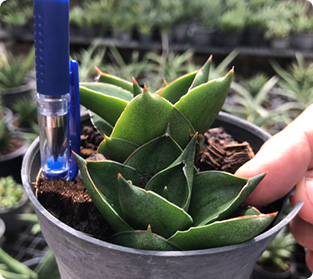 エスプレッソ